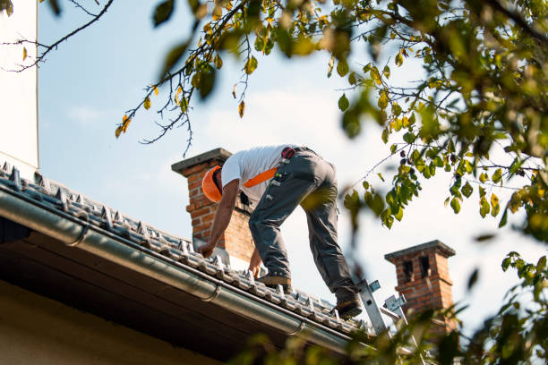 Best Roof Gutter Cleaning  in Mammoth, AZ