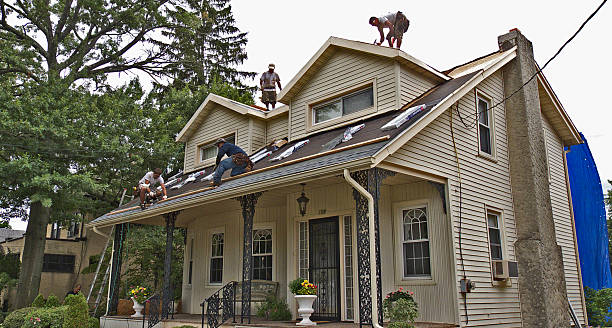 Best Storm Damage Roof Repair  in Mammoth, AZ